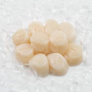 Image of Hokkaido Scallop 10/20 23-25pcs/pack (sold per pack) from Supplybunny.com