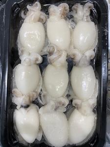 Image of Baby Cuttlefish 300g±/pack (sold per pack) from Supplybunny.com