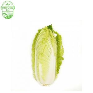 Image of Cabbage Chinese(1.2KG+-/PKT) from Supplybunny.com