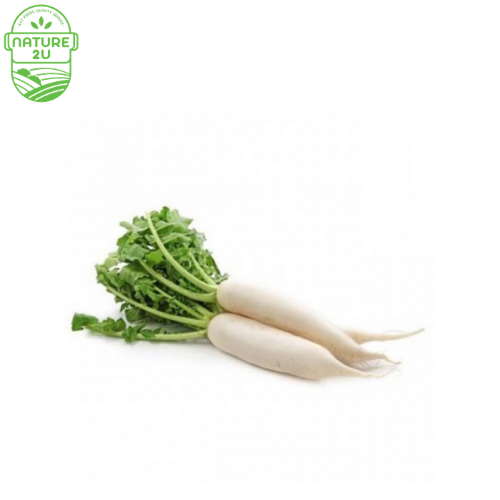 Raddish White (500G+-/PKT) Wholesale RM2.30 | KL Delivery