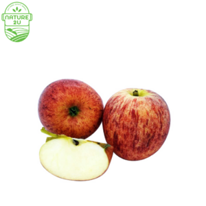 Image of Apple Red Gala (500G+-/PKT) from Supplybunny.com
