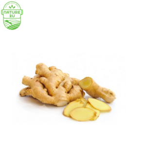 Image of Ginger Old (200G+-/PKT) from Supplybunny.com