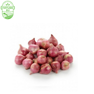 Image of Onion Small/Bawang Kecil (500G+-/PKT) from Supplybunny.com
