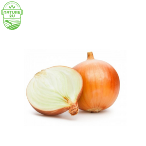 Image of Onion Yellow (500G+-/PKT) from Supplybunny.com