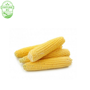 Image of Sweet Corn (2PCS/PKT) from Supplybunny.com