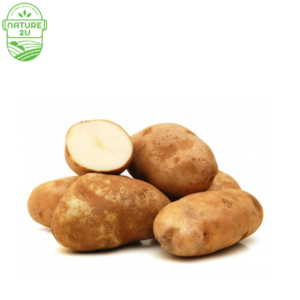 Image of Potato Russet (1KG+-/PKT) from Supplybunny.com