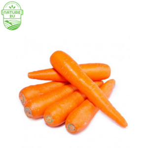 Image of Carrot Australia (500G+-/PKT) from Supplybunny.com