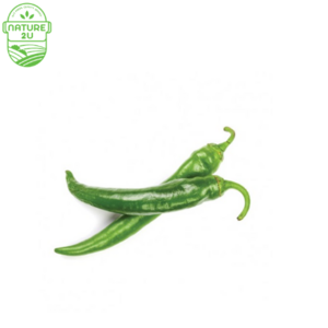 Image of Chili Green (200G+-/PKT) from Supplybunny.com