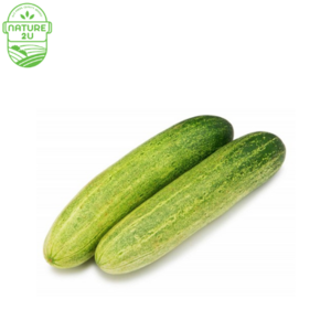 Image of Cucumber (500G+-/PKT) from Supplybunny.com