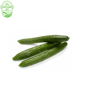 Image of Cucumber Japanese /Kyuri (500G+-/PKT) from Supplybunny.com