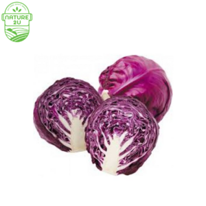 Image of Cabbage Red/Kobis Merah (1.1KG+-/PKT) from Supplybunny.com