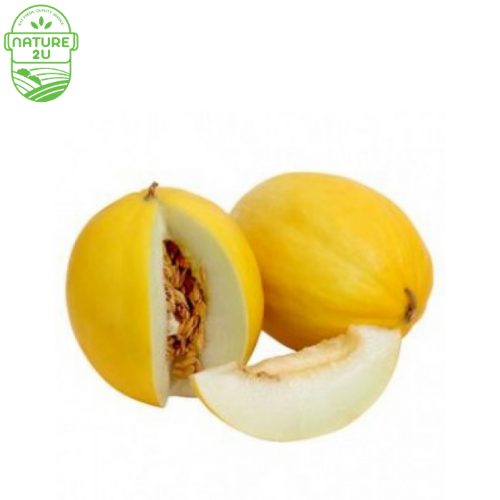 MelonSun Melon (1.4KG+/PKT) — HORECA Suppliers Supplybunny