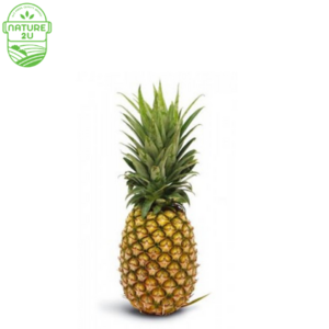 Image of Pineapple Big (1KG+- ) from Supplybunny.com