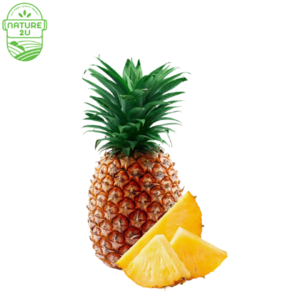 Image of Pineapple Honey-Josa (1KG+-) from Supplybunny.com