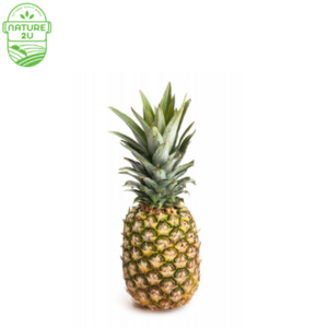 Image of Pineapple Sarawak (1KG+-) from Supplybunny.com