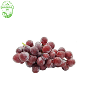 Image of Grape Red Seedless (500G+-/PKT) from Supplybunny.com
