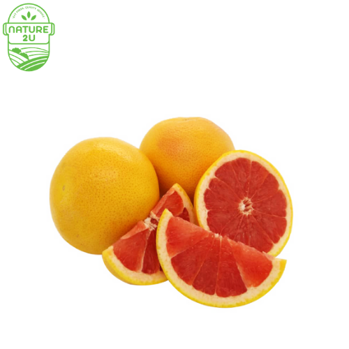Grapefruit Israel (600G+/PKT) — HORECA Suppliers Supplybunny