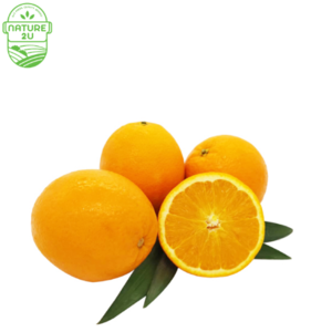 Image of Orange Valencia Egypt (700G+-/PKT) from Supplybunny.com