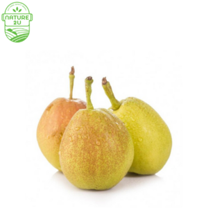Image of Pear Fragant  China (700G+-/PKT) from Supplybunny.com