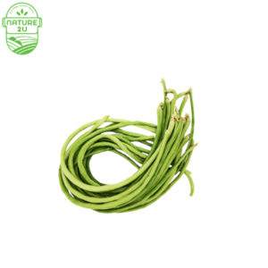 Image of Long Bean (500G+-/PKT) from Supplybunny.com