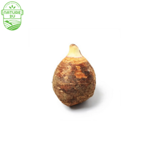 Image of Yam/Keladi (1KG-1.2KG+-/NOS) from Supplybunny.com