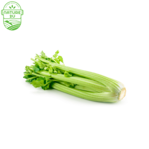 Image of Celery (800G+-/PKT) from Supplybunny.com