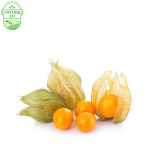 Image of Gooseberry Columbia (100G+-/PKT) from Supplybunny.com