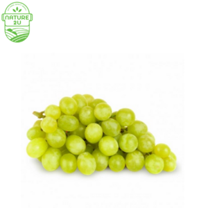 Image of Grape Green Seedless (500G+-/PKT) from Supplybunny.com