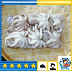 Image of Sungai Besar Baby Octopus 250g per Pack (Sold per Pack) from Supplybunny.com