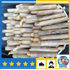 Image of Indonesia Bamboo Clam S Size, 1kg per Pack (Sold per Pack) from Supplybunny.com