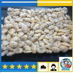 Image of Short Neck Clam Lala Meat 1kg Per Pack (Sold per Pack) from Supplybunny.com