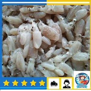 Image of Sekinchan Baby Squid 500g per Pack (Sold per Pack) from Supplybunny.com