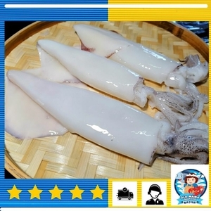 Image of India Catch Squid (Cleaned) 6-10 inch, 600g per Pack (Sold per Pack) from Supplybunny.com