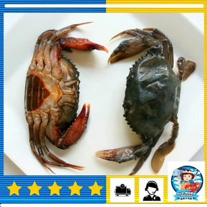 Image of Soft Shell Crab 5-7 Pieces 80-120g per Piece (0.95-1.05kg per Set) - Promo Set (Sold per Set) from Supplybunny.com