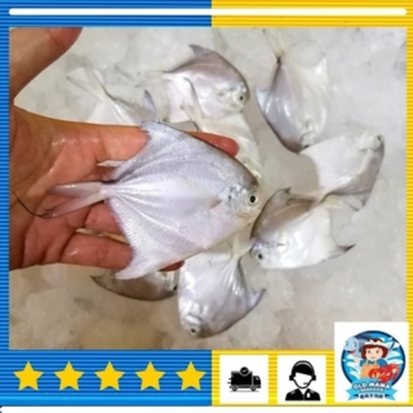 Fish & seafood suppliers in Klang Valley