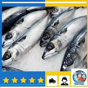 Image of Norway Saba Mackerel 2Nos per Pack (0.95-1.05kg per Pack) (Sold per Pack) from Supplybunny.com
