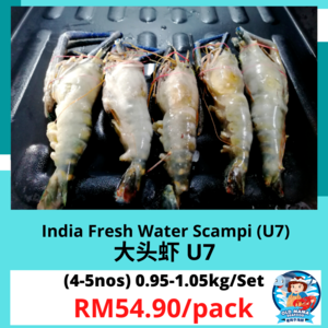 Image of India Fresh Water Scampi U7 4-5 Nos (0.95-1.05kg per Set) L Size (Sold per Set) from Supplybunny.com