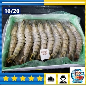 Image of Local Farmed Frozen Tiger Prawn (100% No Chemical) 16/20 700g Per Pack (Sold per Pack) from Supplybunny.com