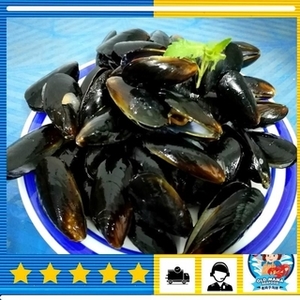 Image of Chile Whole Shell Blue Mussel 1kg per Pack (Sold per Pack) from Supplybunny.com