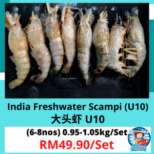 Image of India Freshwater Scampi U10 6-8 Pieces, 0.95-1.05kg per Set (Sold per Set) from Supplybunny.com