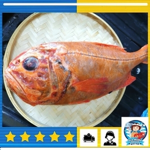 Image of New Zealand Orange Roughy Fish 1.2-1.5kg per Piece (Sold per Piece) from Supplybunny.com