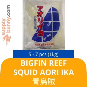 Image of Bigfin Reef Squid Aori Ika 5-7 PC (1 kg) 青烏賊 Sotong Aori from Supplybunny.com