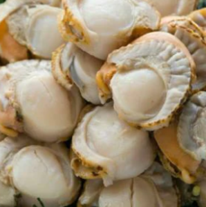 Image of Baby Boiled Hotate Scallop (48-50 Piece per Pack) 冷凍小扇貝 Kerang Rebus Bayi from Supplybunny.com