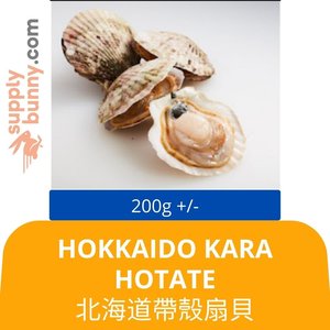 Image of Hokkaido Kara Hotate 8-10CM (6pcs/pack) 北海道帶殼扇貝 Kerang Dengan Tempurung Hokkaido from Supplybunny.com