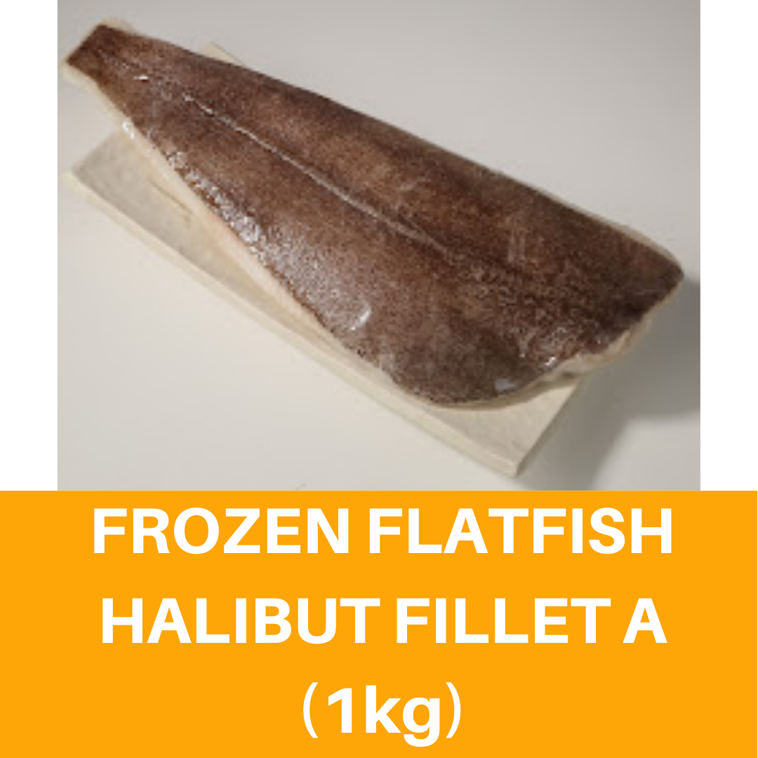 Frozen Flatfish Halibut Fillet A (1kg) 冷凍比目魚片 Ikan Kembung Fillet