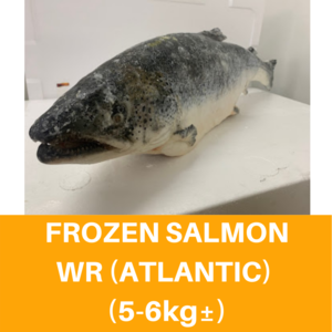 Image of Frozen Salmon WR (Atlantic) (5-6kg±) 冷凍三文魚 (大西洋) Salmon Beku from Supplybunny.com