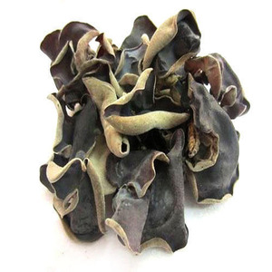 Image of Black Fungus (sold per kg) from Supplybunny.com
