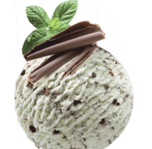 Image of Gelato Mint Chocolate Chips 6x 473ml/Pint (Sold per Carton) from Supplybunny.com