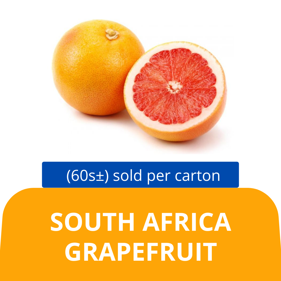 Grapefruit 60 pcss (sold per carton) Origin South Africa — HORECA