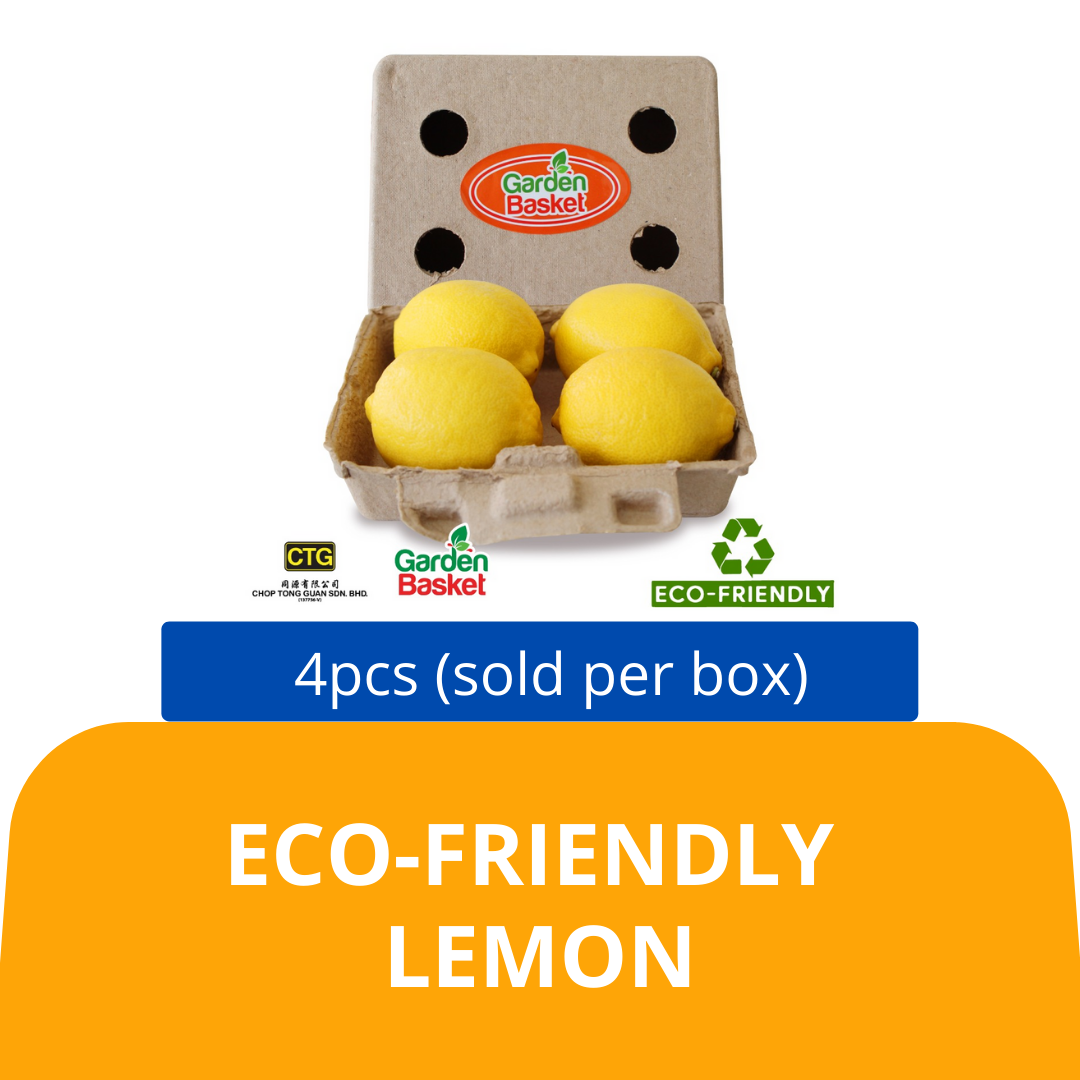 ECOFRIENDLY Lemon (4 pcs perbox)（sold per box) — HORECA Suppliers